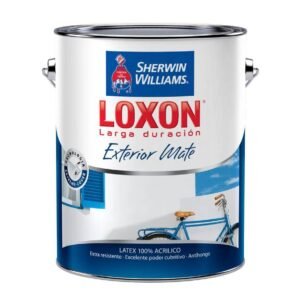 SHERWIN WILLIAMS LATEX EXTERIOR LOXON LARGA DURACION 10LT
