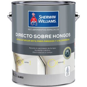 SHERWIN WILLIAMS DIRECTO SOBRE HONGOS 1LT